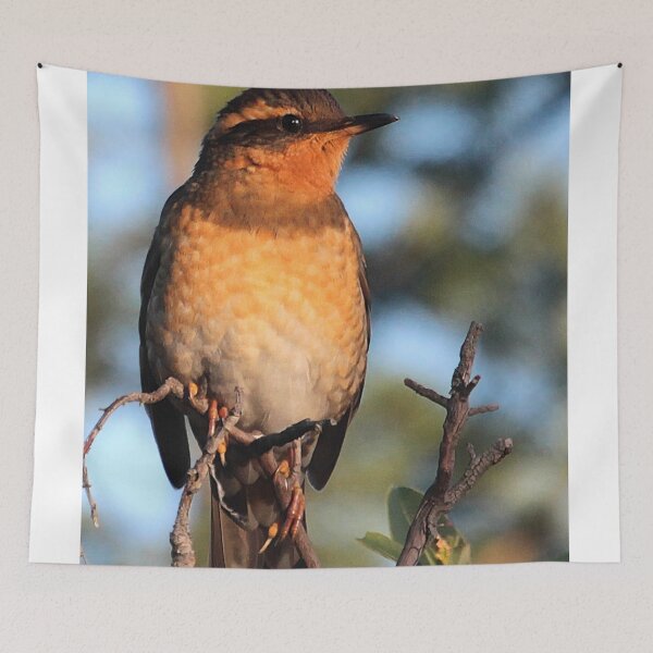 Item preview, Varied Thrush designed and sold by Carl Olsen.