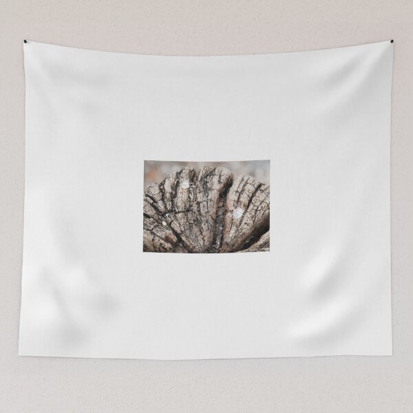 Item preview, Old tree cross section - years go by designed and sold by Ron Zmiri.