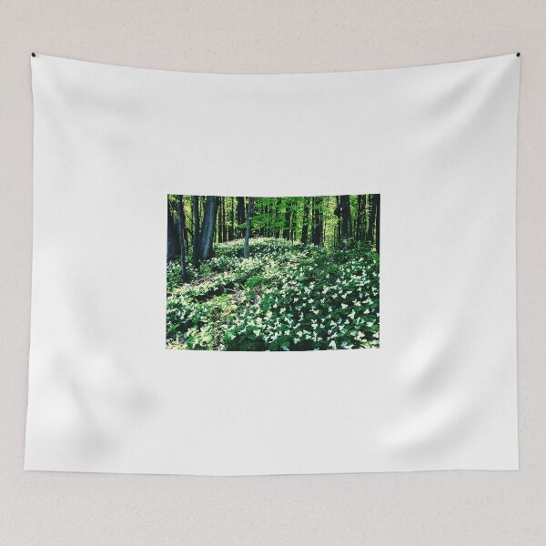 Item preview, First sign of spring in the forest designed and sold by Kathy Russell.