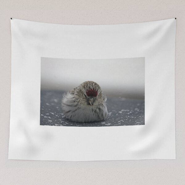 Item preview, Winter Redpoll designed and sold by AgapeMn.