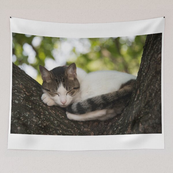 Item preview, Sleepy Puss  designed and sold by hawkie.