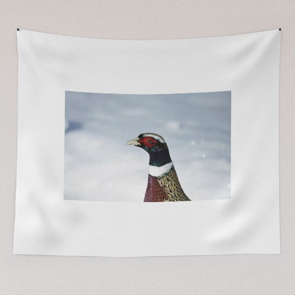 Item preview, Rooster Pheasant Head Photo designed and sold by AgapeMn.