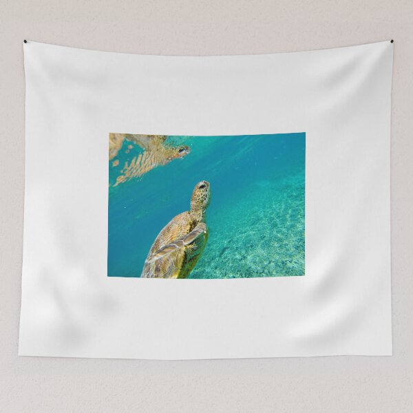 Item preview, Turtle Ripples designed and sold by tracyleephoto.