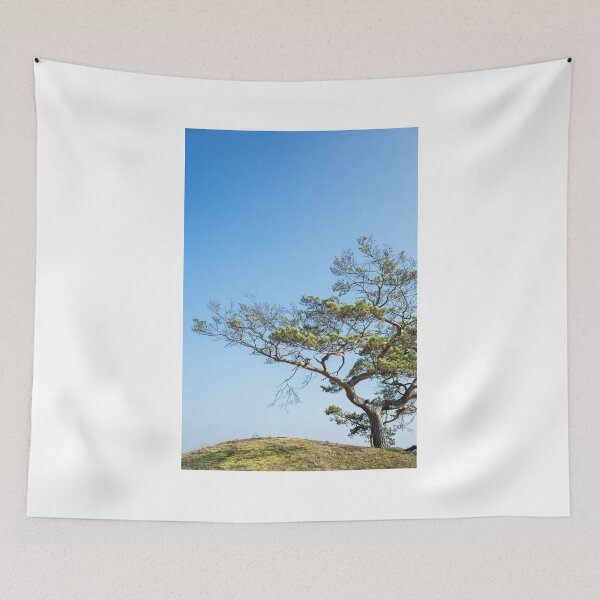 Item preview, Pinus sylvestris designed and sold by novopics.