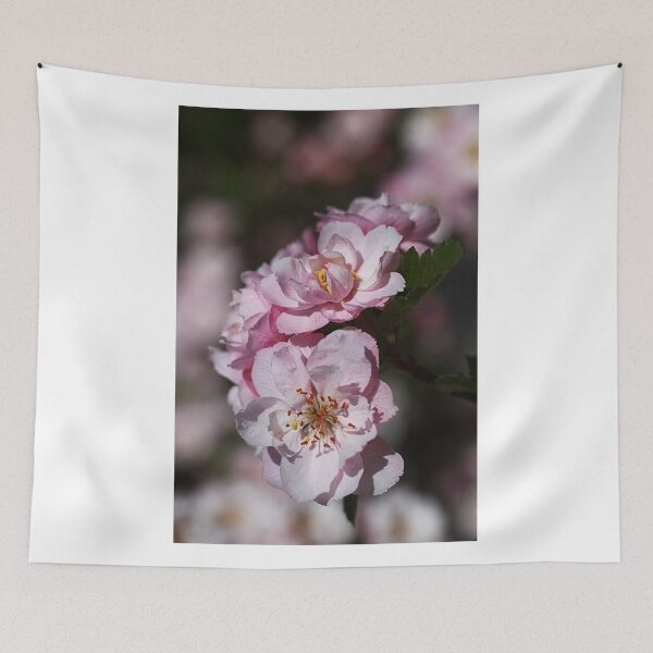 Item preview, Crabapple Pink designed and sold by Joy Watson - Natural Light Photography .