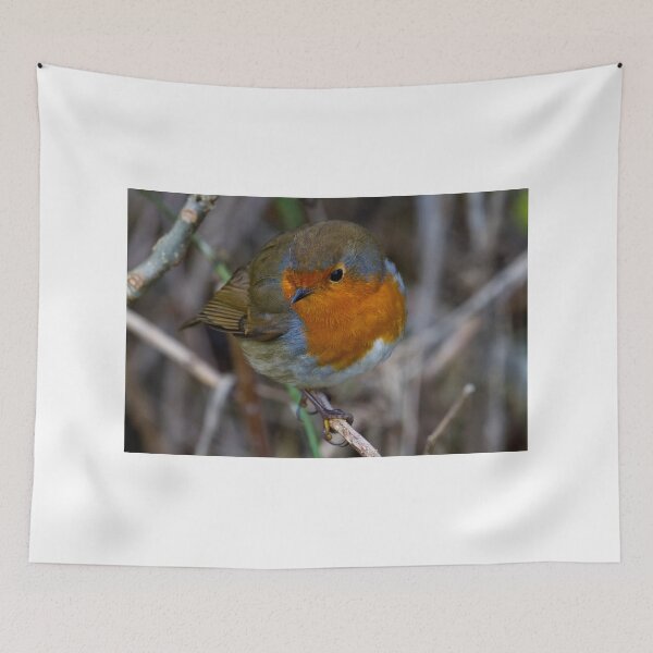 Item preview, Fluffed up Robin designed and sold by Violaman.