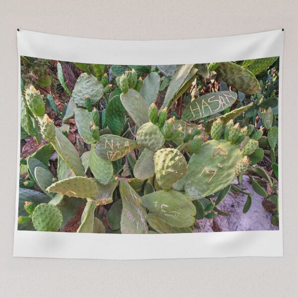 Item preview, Urban Cacti  designed and sold by hawkie.
