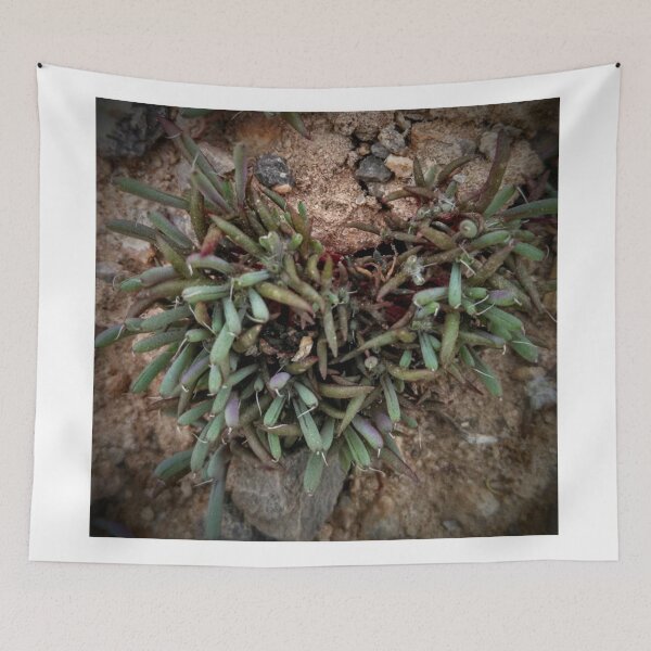 Item preview, Tiny Shrub Heart designed and sold by brusling.