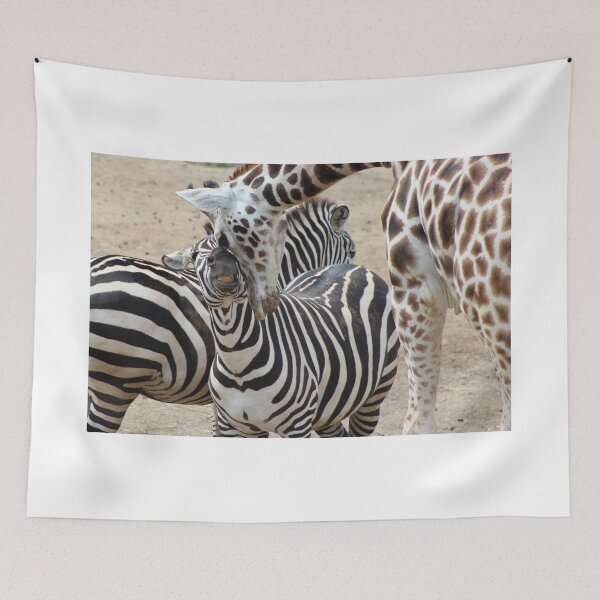 Item preview, Zebra and Giraffe Photo Print - Animal Photo  designed and sold by Very Peculiar.