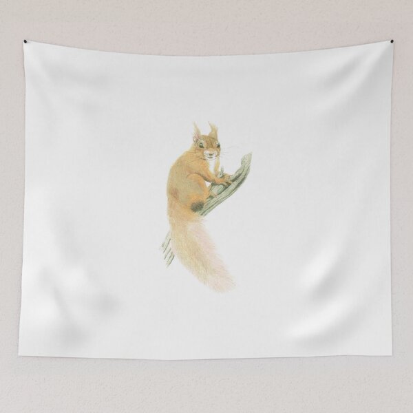 Item preview, "Squirrel" designed and sold by TheLollygagger.