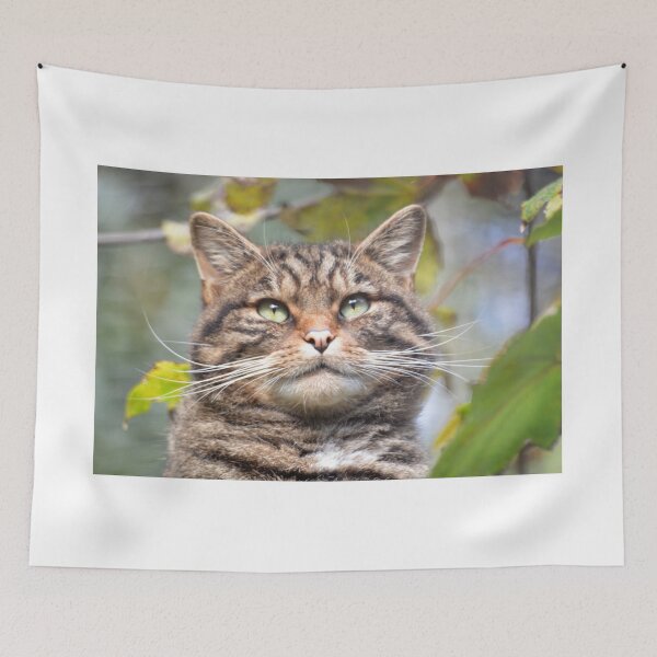 Item preview, Highland Tiger designed and sold by Dorothy Thomson.