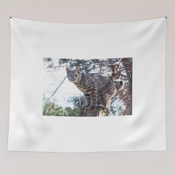 Item preview, Grumpy on the fence designed and sold by Eivor Kuchta.