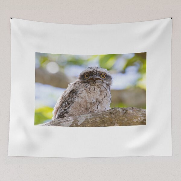 Item preview, Do You Mean I Have To Leave The Nest? designed and sold by byronbackyard.