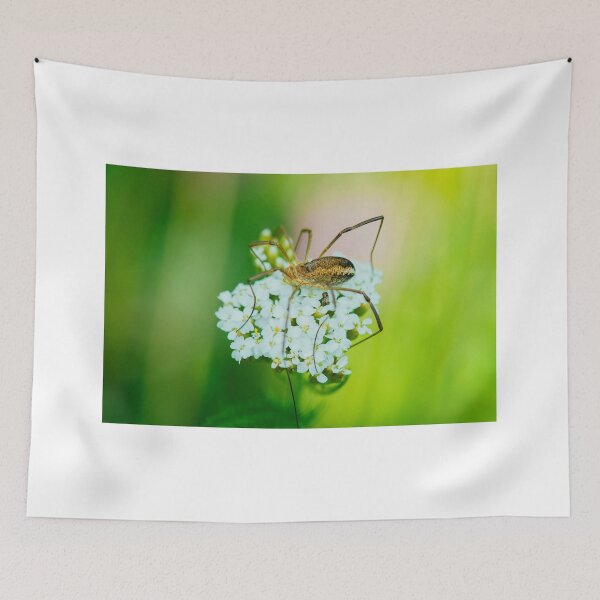 Item preview, Insect on a white flower macro designed and sold by lalylaura.