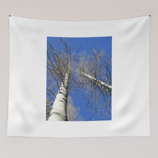 Item preview, Birch Trees designed and sold by Steve Hunter.