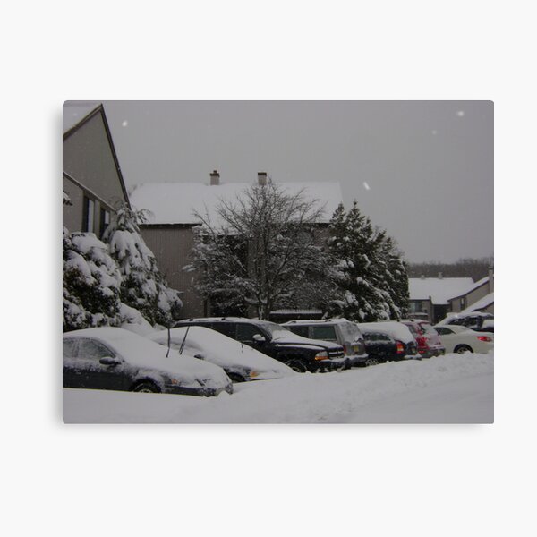 Snowed in Canvas Print