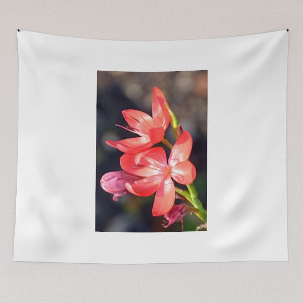 Item preview, Red Flowers in the garden designed and sold by lynn carter.