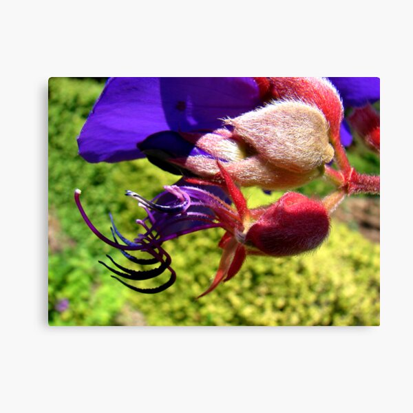 Item preview, Primal Attraction designed and sold by Honario.