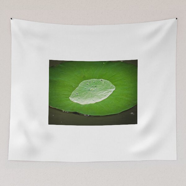 Item preview, Moment of Zen designed and sold by dahlymama.