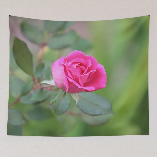 Item preview, Last Rose designed and sold by Bob Hardy.