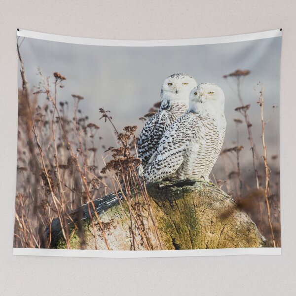 Item preview, Snowy Owls designed and sold by Jim Stiles.