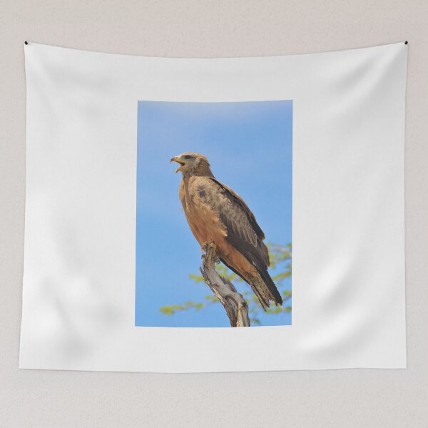 Item preview, Yellow-billed Kite - African Raptors of Power designed and sold by LivingWild.