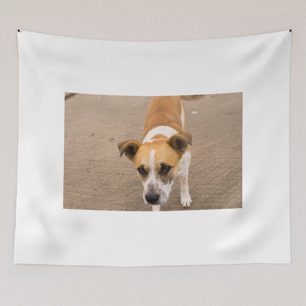 Item preview, 122514 please designed and sold by pcfyi.