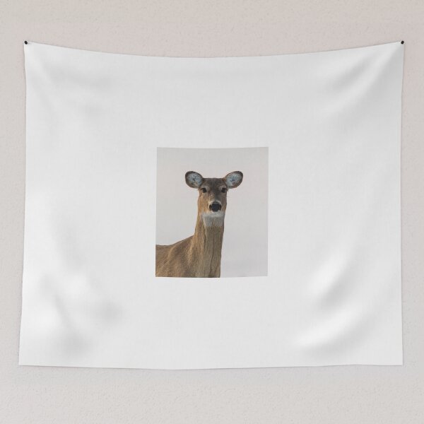 Item preview, Looking at you... designed and sold by AgapeMn.