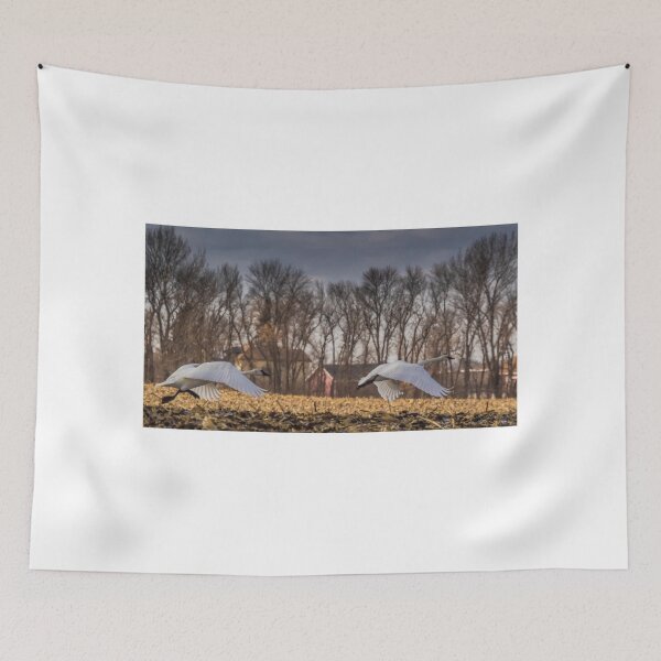 Item preview, Lift Off designed and sold by AgapeMn.