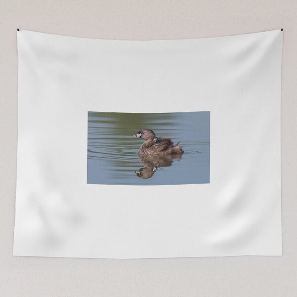 Item preview, Pied-billed Grebe designed and sold by James Cumming.
