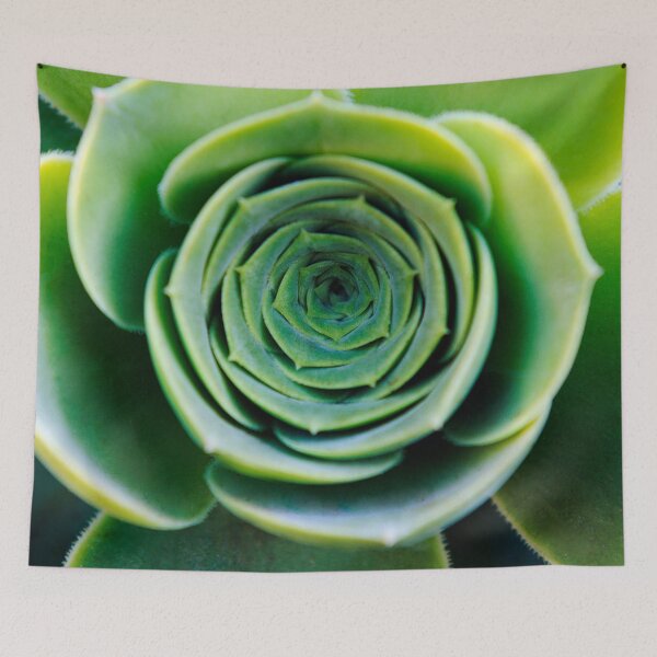Item preview, Green houseleek     designed and sold by JBlaminsky.