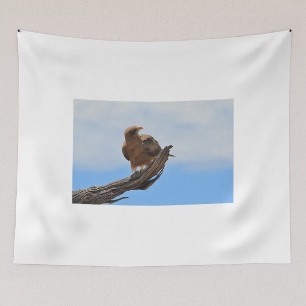 Item preview, Yellow Billed Kite - Looking at Heaven designed and sold by LivingWild.
