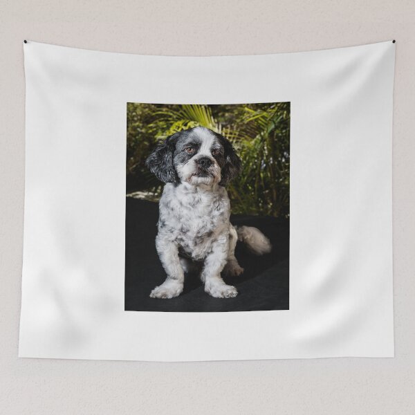 Item preview, Benji designed and sold by Colin White.