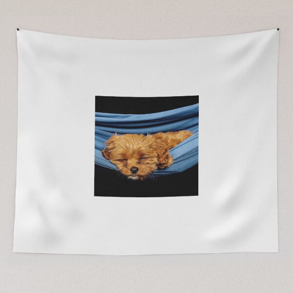 Item preview, Remi sleeping designed and sold by Colin White.