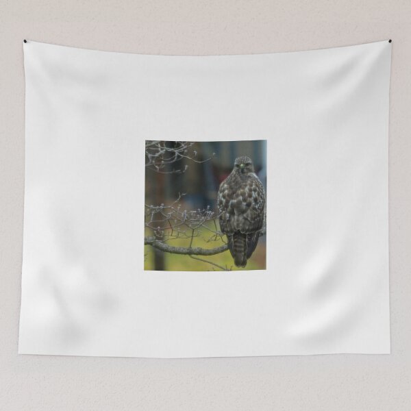 Item preview, 360 Fasinating Hawk designed and sold by kimbarose.