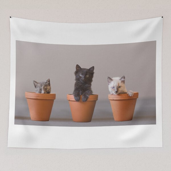 Item preview, Bloomin' Meowers designed and sold by AndreaBorden.