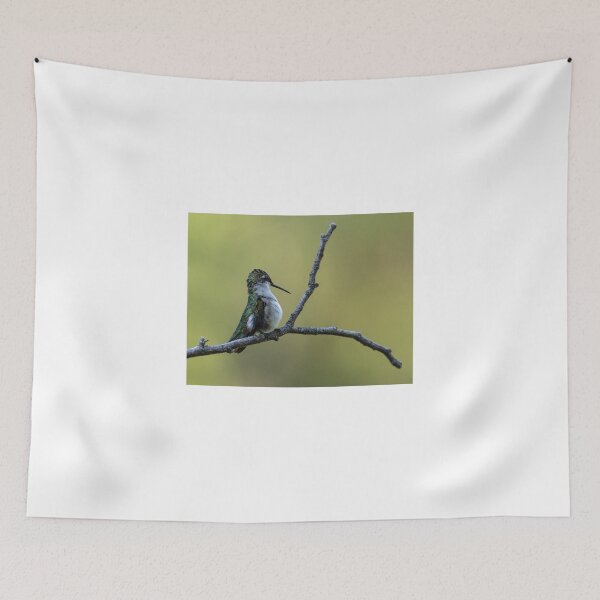 Item preview, Ruby-Throated Hummingbird - 1 designed and sold by AgapeMn.