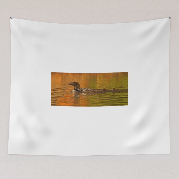 Item preview, Follow the leader - Common loon designed and sold by James Cumming.