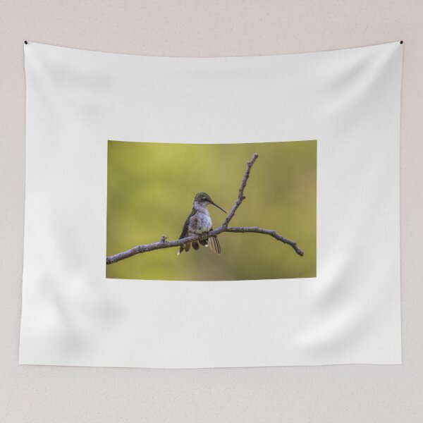 Item preview, Ruby-Throated Hummingbird - 12 designed and sold by AgapeMn.