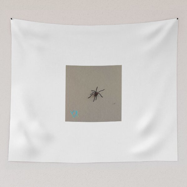 Item preview, "Spider on the Wall" by Richard F. Yates designed and sold by richardfyates.