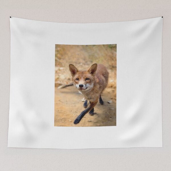 Item preview, Brushy the fox designed and sold by stacky.