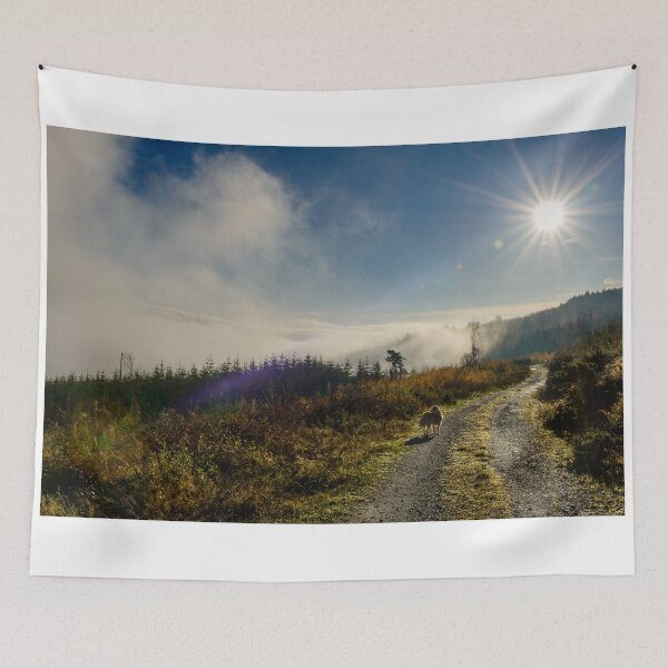 Item preview, Just above the fog, Brandon Hill, Graiguenamanagh, County Kilkenny, Ireland designed and sold by AndrewJonesFoto.