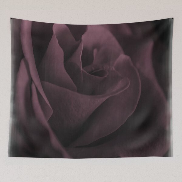 Aperçu de l'œuvre Powder Pink Rose créée et vendue par DavidWHughes.