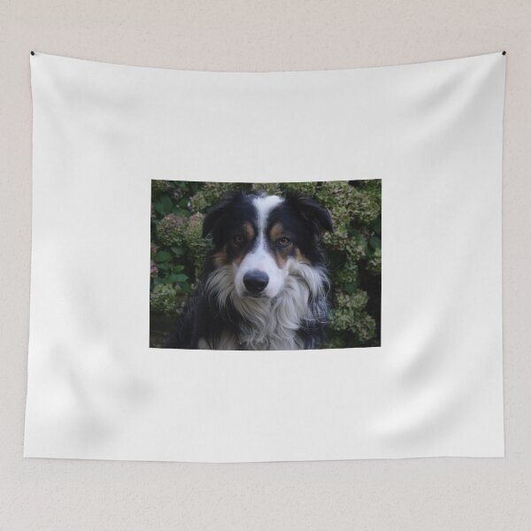 Item preview, Gotcha designed and sold by Michael Haslam.