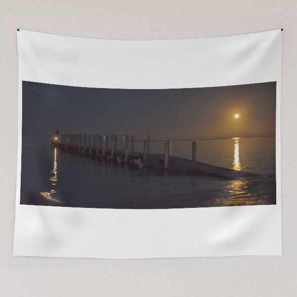 Item preview, Moonlight Fishing designed and sold by Neil Bushby.