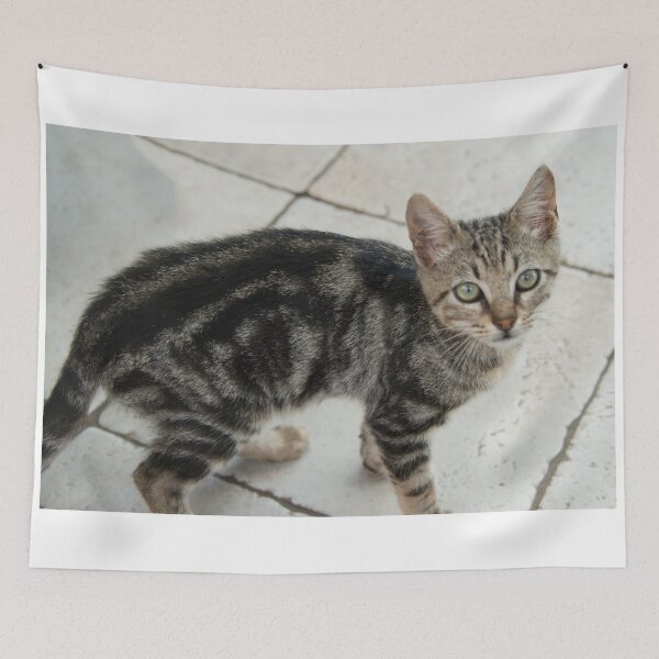 Item preview, Cat K  designed and sold by hawkie.