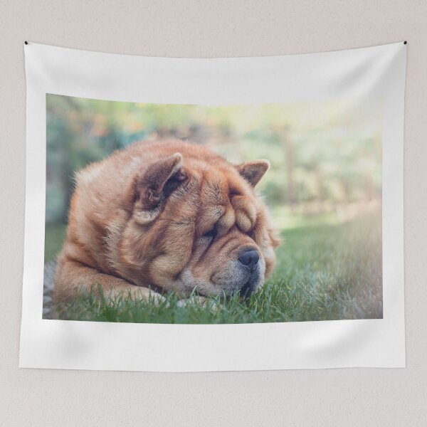 Item preview, Sunbathing chow dog designed and sold by Tamas KLAUSZ.