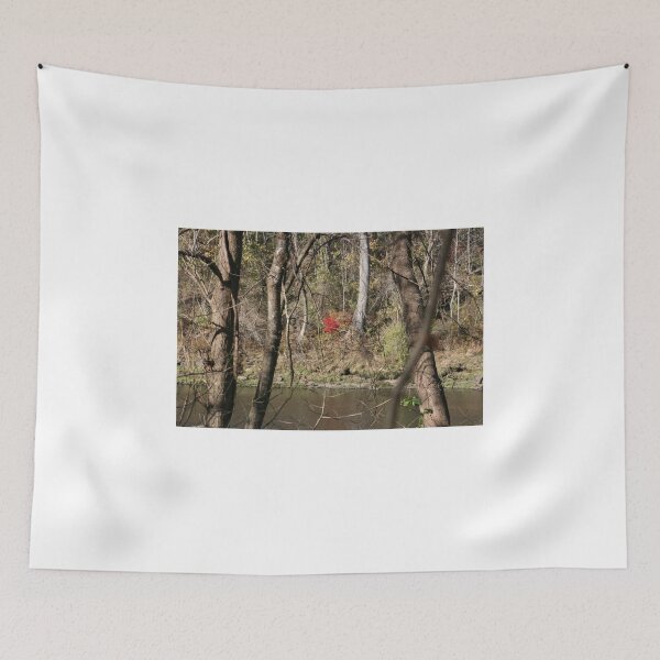 Item preview, FALL ALONG THE TANEYCOMO designed and sold by Brenda Planchon.