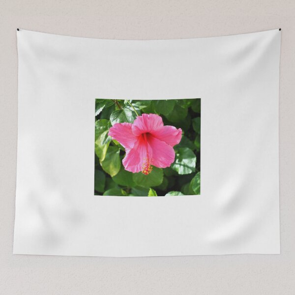 Item preview, PINK HIBISCUS OPEN TO THE SUN designed and sold by JAYMILO.