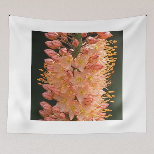 Item preview, Orange Wonder designed and sold by JohnDalkin.